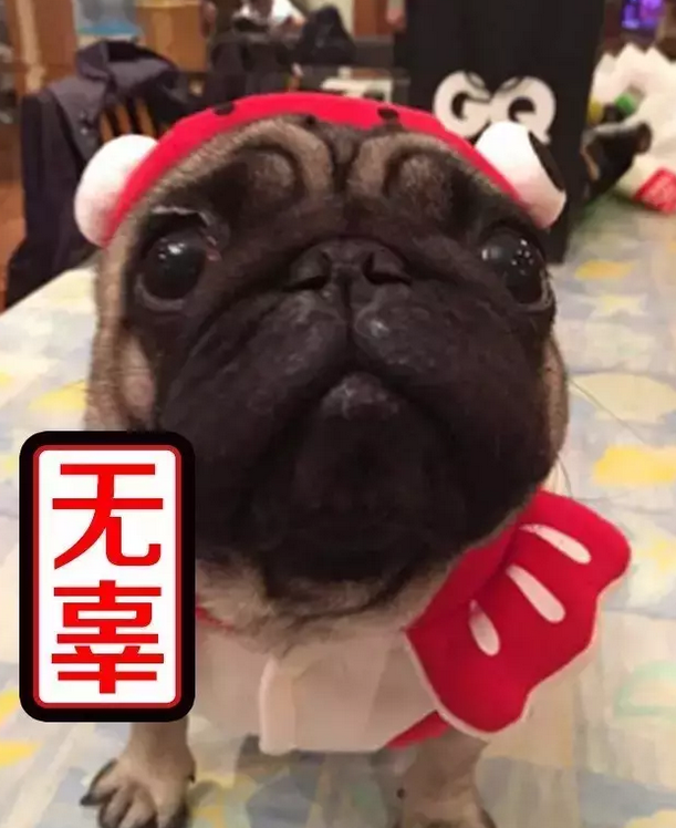 86e26c9a262d86f3c811aea0739bcfa3.png 86e26c9a262d86f3c811aea0739bcfa3.png