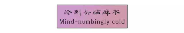 冷到头脑麻木 冷到头脑麻木
