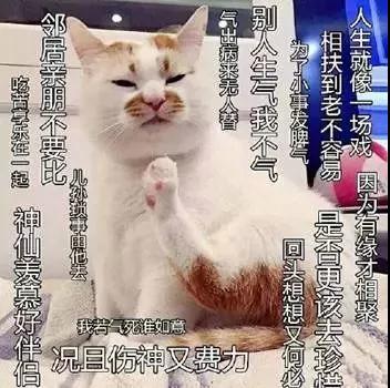 佛系”留学生的日常就是那么love&peace 佛系”留学生的日常就是那么love&peace