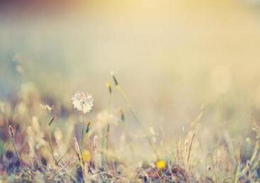 备考托福阅读需要注意的事情 备考托福阅读需要注意的事情