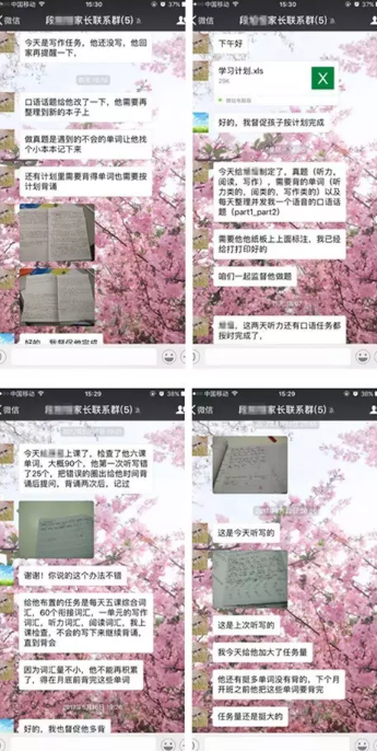 【寒假班】1月29日，2月6日开班在即