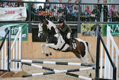 上海莱克顿学校首场校长见面会 上海莱克顿学校首场校长见面会