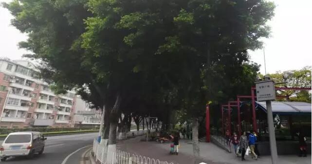 2018 IHBB国际历史竞赛 2018 IHBB国际历史竞赛