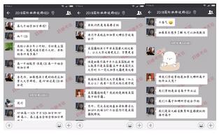国际学校 国际学校