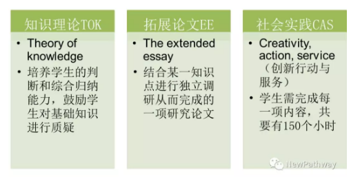 最难国际课程开考！IB太难学，如何过难关？