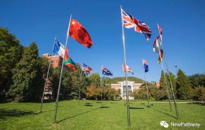最难国际课程开考！IB太难学，如何过难关？