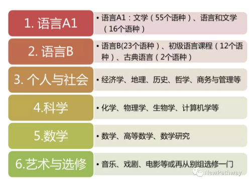 最难国际课程开考！IB太难学，如何过难关？