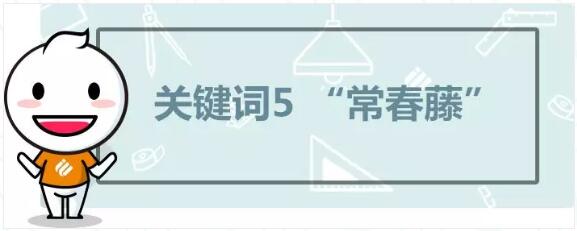 小白手册美国篇 小白手册美国篇