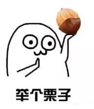 北美高校生存体验课 北美高校生存体验课