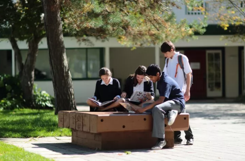 3年追踪26个中国小留学生, 他们为何一个个接连辍学? 3年追踪26个中国小留学生, 他们为何一个个接连辍学?
