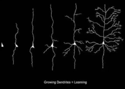 杜克大学最新研究,4个方法让孩子摆脱“假期综合症” 杜克大学最新研究,4个方法让孩子摆脱“假期综合症”