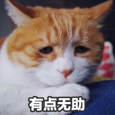 9月超级福利 | 糟糕,是心动的感觉 9月超级福利 | 糟糕,是心动的感觉
