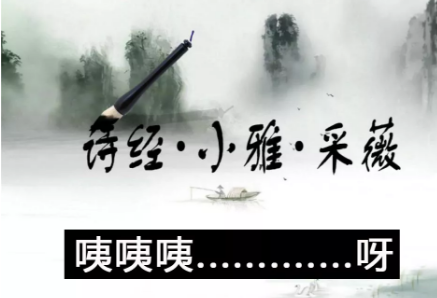 从语言发展史挖掘互联网大厂CEO们的强势斜杠