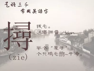 从语言发展史挖掘互联网大厂CEO们的强势斜杠