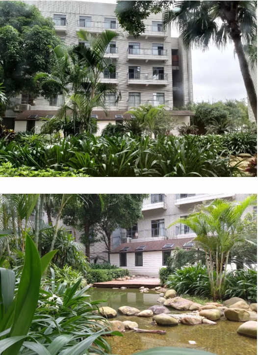校区周边环境 校区周边环境