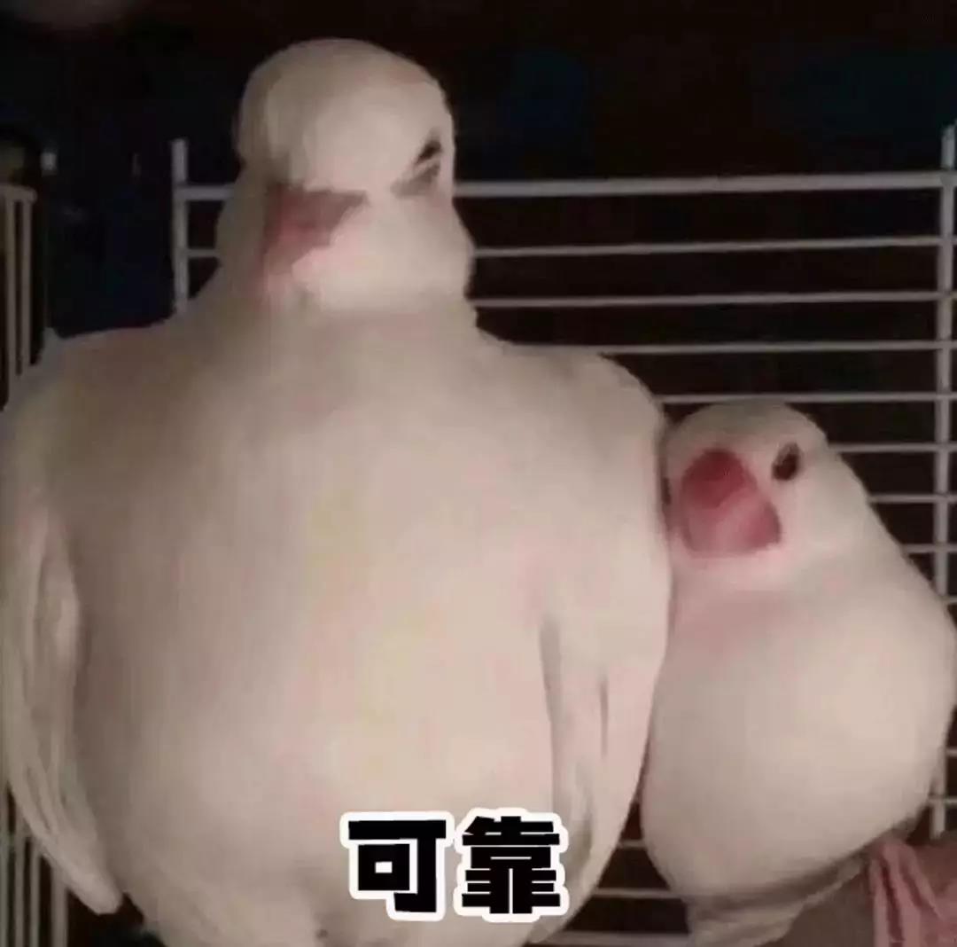 启德考培.jpg 启德考培.jpg