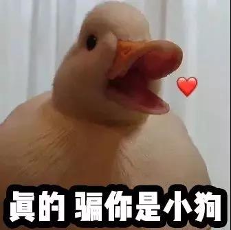 启德考培.jpg 启德考培.jpg