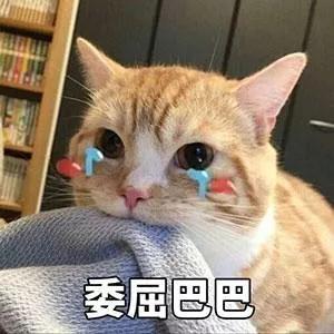 启德考培.jpg 启德考培.jpg