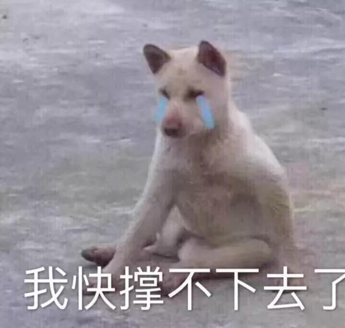 启德考培.jpg 启德考培.jpg
