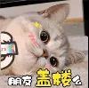 b77b4b3dd0977a3ba9bd62b3da1dc217.jpg